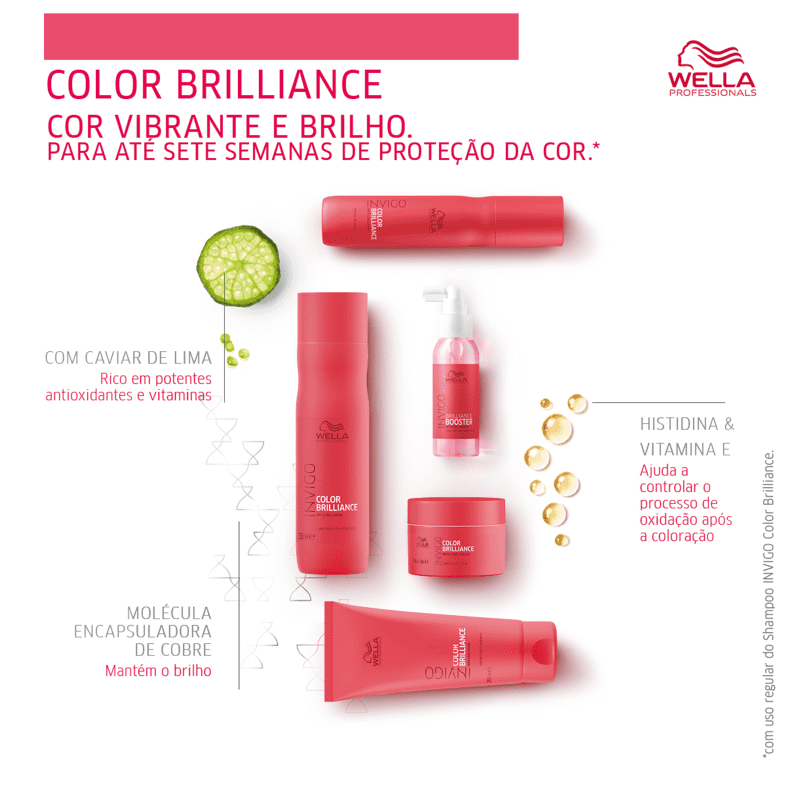 WELLA INVIGO COLOR BRILLIANCE MASCARA PARA PROTEÇÃO DA COR 500ml